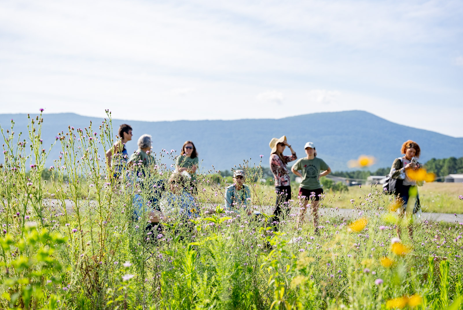2021 07 16 Landfill Plot Flowers Event Drone For Web 1091